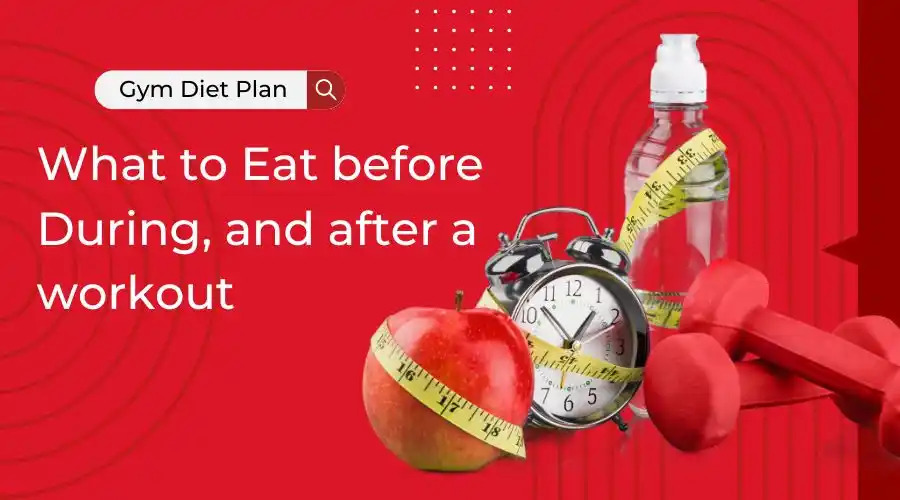 Diet-Recomendation-And-Workout-Plan